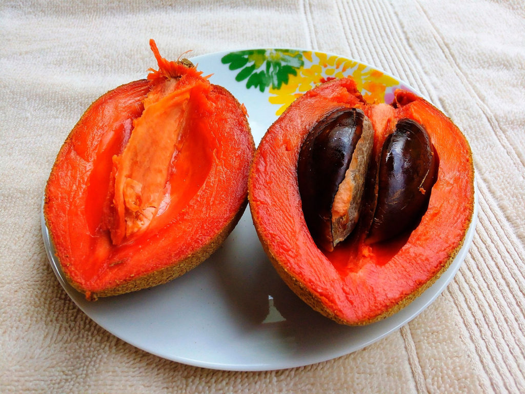 Mameysapote Handonfruits